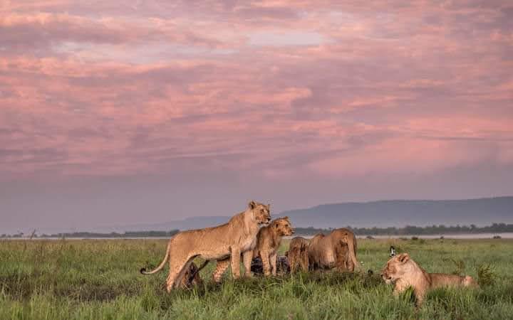 Picnic lunch experiences in the wilderness