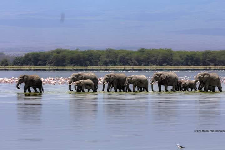 Arusha national park