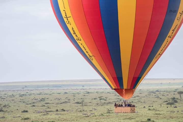 Serengeti Safari Lodge | A Luxury Stay in the Heart of the Wild.