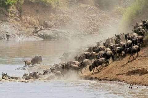 Elephant watching in Amboseli