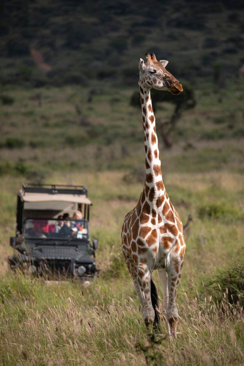 Maasai Mara Wildlife Safari