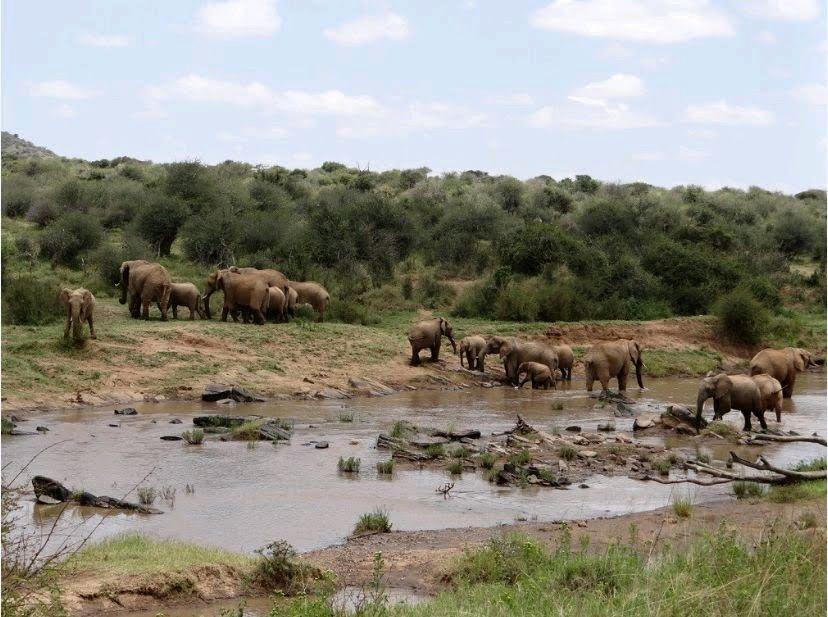 Sunset experiences across the Serengeti plains.