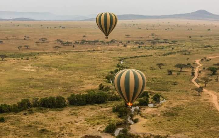 Explore authentic Tanzanian art and handicrafts
