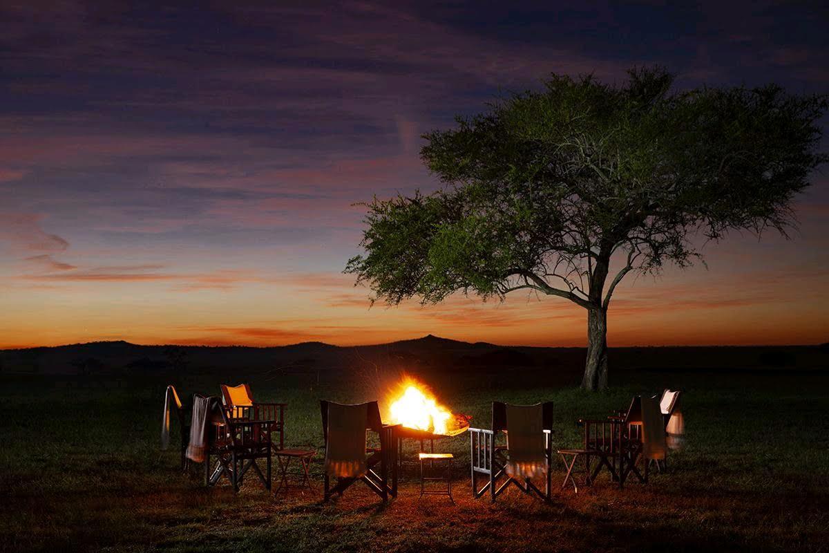Why Book a Private Safari in Tanzania?